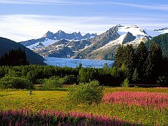 A Photographer's Canvas, Mendenhall Glacier, Alaska